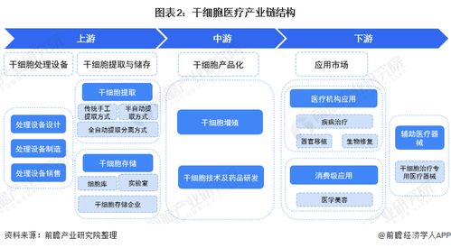 預見2022 中國干細胞醫療產業全景圖譜與發展趨勢分析